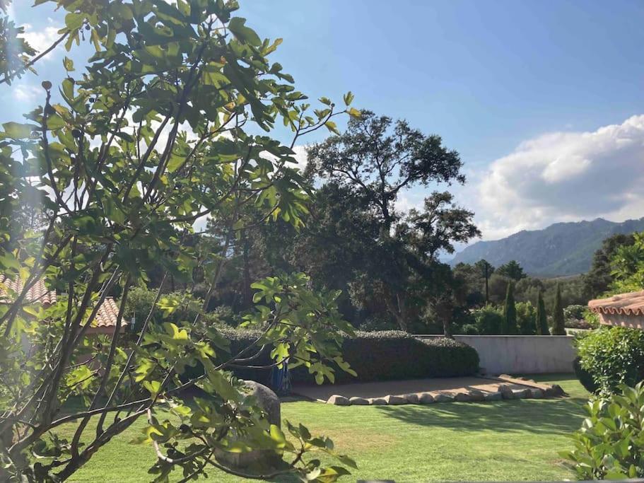 Maison Sainte Lucie De Porto-Vecchio ภายนอก รูปภาพ